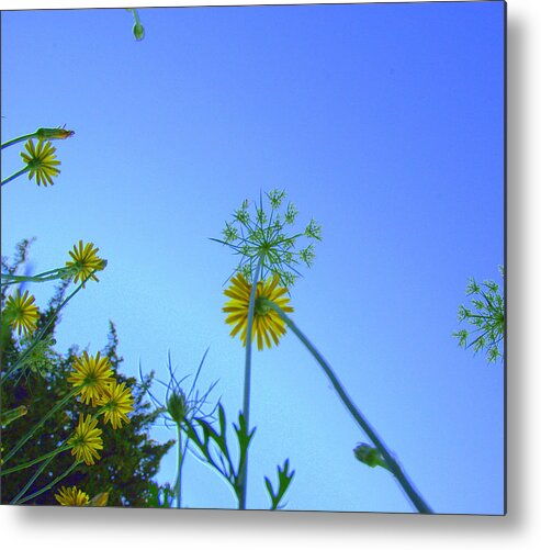 Flowers Metal Print featuring the photograph Ants Perspective by Bruce Carpenter
