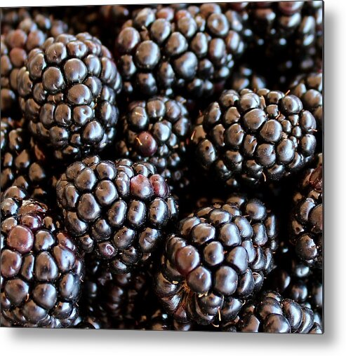 Blackberries Metal Print featuring the photograph Blackberries by Kume Bryant