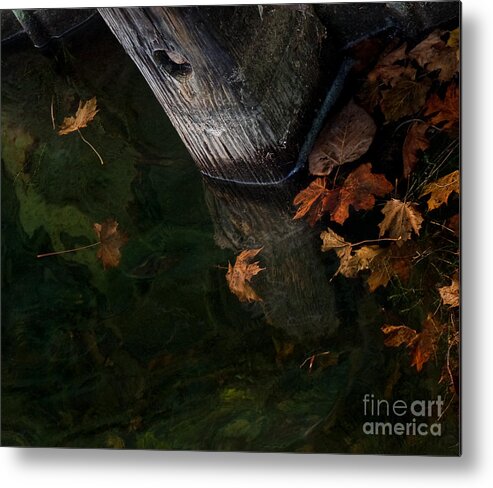 Dock Metal Print featuring the photograph Dockside by Terry Doyle