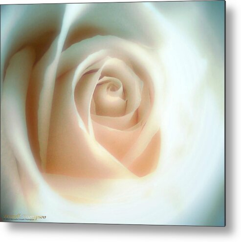 Rose Metal Print featuring the photograph Frosted Glass Rose by Michelle Frizzell-Thompson
