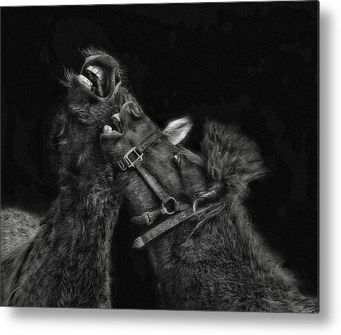 Horses Metal Print featuring the photograph Horse Play by Pat Abbott