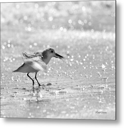 Shaking Metal Print featuring the photograph Shakin All Over by Michelle Constantine