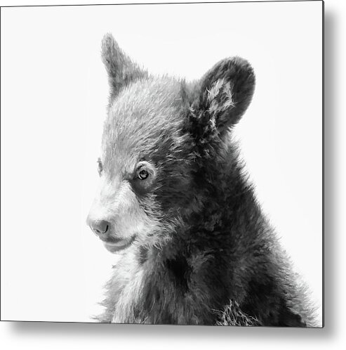 Cub Metal Print featuring the photograph Baby Bear Cub #1 by Athena Mckinzie