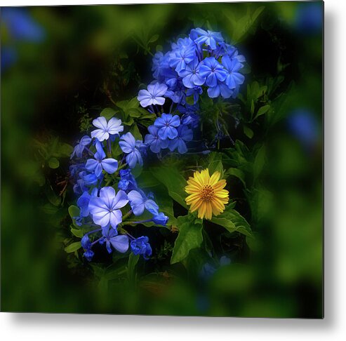 Flowers Metal Print featuring the photograph 4205 by Peter Holme III