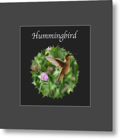 Hummingbird Metal Print featuring the photograph Hummingbird by Holden The Moment