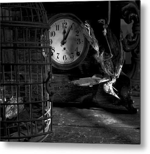 Freedom Comes A Lil Too Late For This One. Metal Print featuring the photograph A little too late by Robert Och