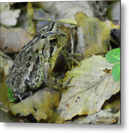 Toad Metal Print featuring the digital art Among the Leaves by Kathy Kelly