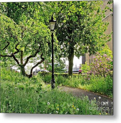 Lamppost Metal Print featuring the photograph Among trees and bushes. by Elena Perelman
