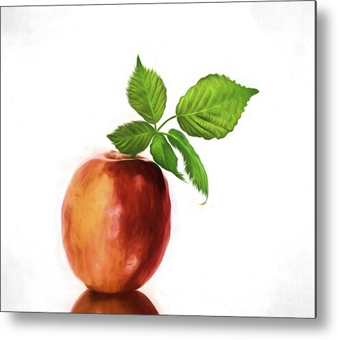 Fruit Metal Print featuring the photograph An Apple a Day by Shirley Mangini
