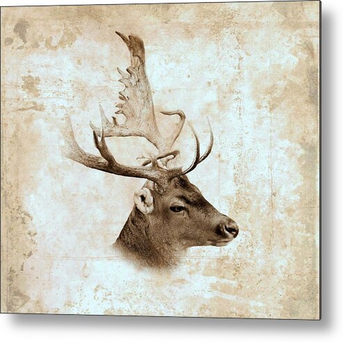 Deer Metal Print featuring the digital art Antique Deer by Lucie Dumas