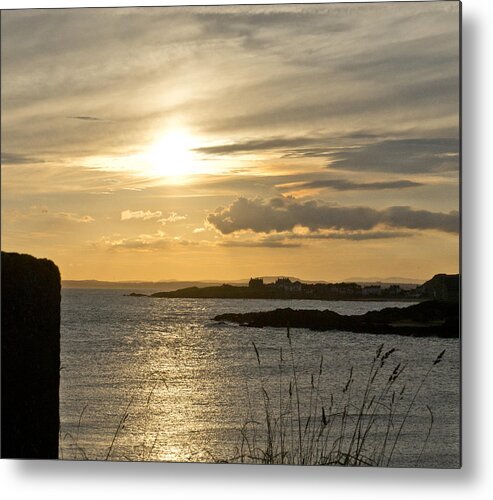 Sunny Evening Metal Print featuring the photograph As Grass in the Wind. by Elena Perelman