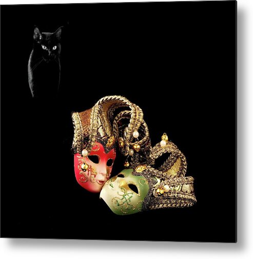 Alex Lyubar Metal Print featuring the photograph Black cat and love by Alex Lyubar