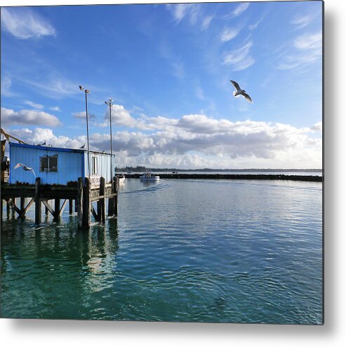 Pacific Metal Print featuring the photograph Blaine Crab square crop by Christine Burdine