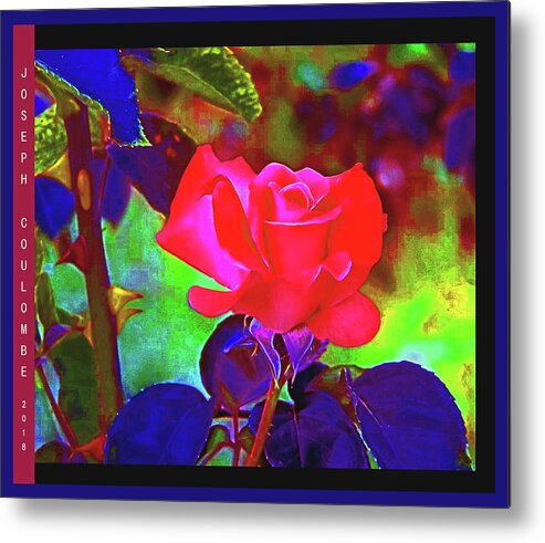 Rose Metal Print featuring the digital art California Rose by Joseph Coulombe