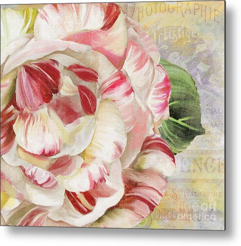 Striped Camellia Metal Print featuring the painting Camellia by Mindy Sommers