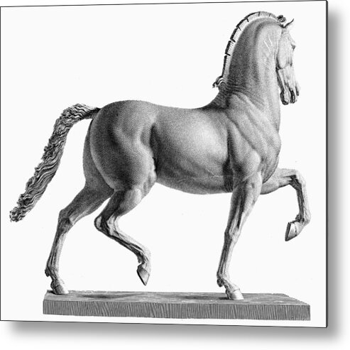 18th Century Metal Print featuring the photograph Canova: Horse by Granger