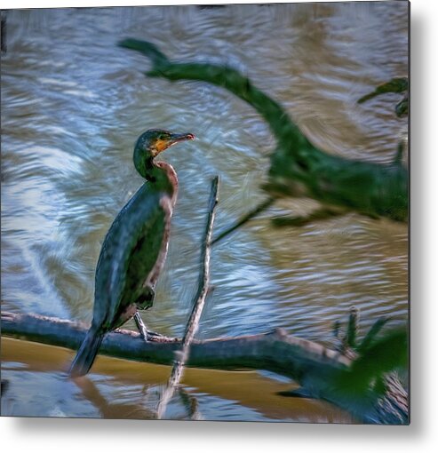 Artistic Metal Print featuring the photograph Cormorant #c7 by Leif Sohlman