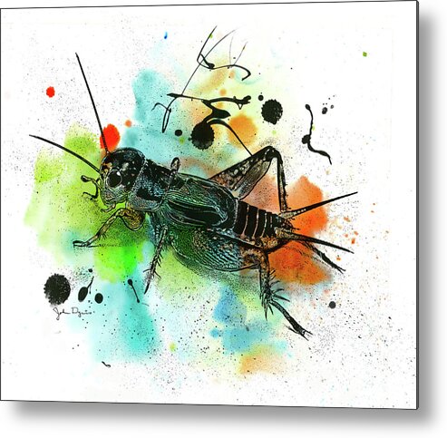 Cricket Metal Print featuring the drawing Cricket by John Dyess