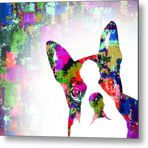 Dog Metal Print featuring the painting Dog 135 Boston Terrier by Lucie Dumas