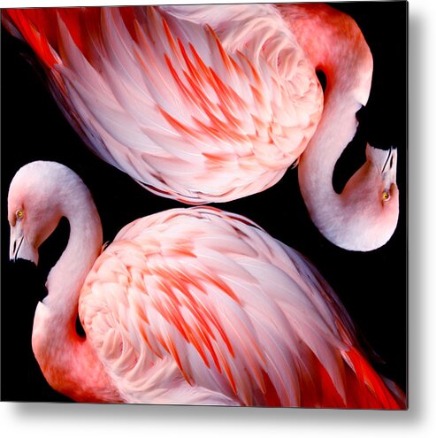 Flamingo Metal Print featuring the digital art Flamingo Feathers Honesty by M E