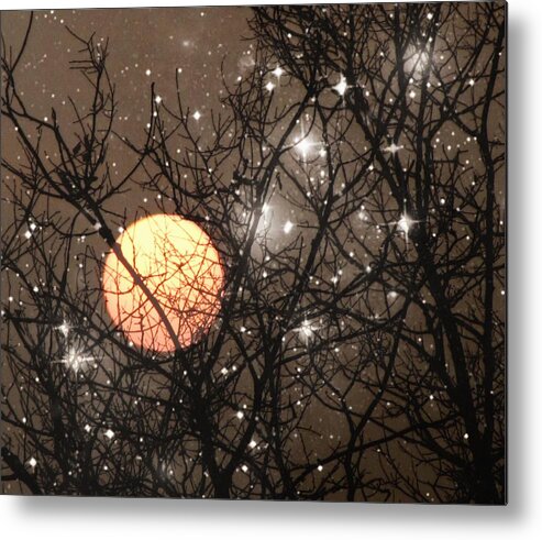 Full Moon Metal Print featuring the photograph Full Moon Starry Night by Marianna Mills