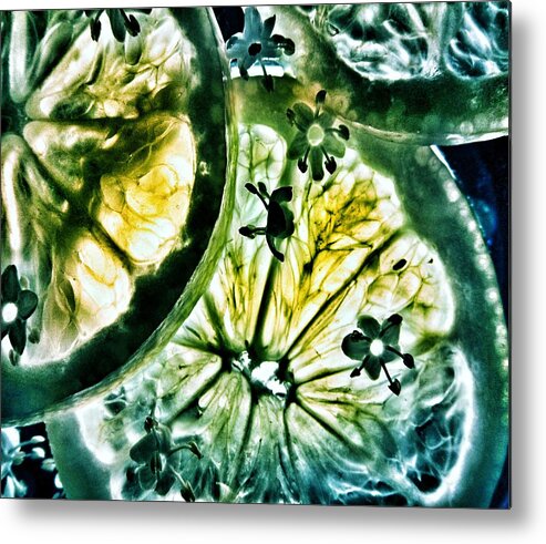 Lemon And Lime Metal Print featuring the photograph Lemon and Lime by Marianna Mills