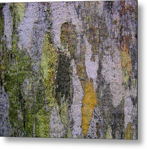 Lichen Metal Print featuring the photograph Lichen and Old Fence #4 by Larry Bacon