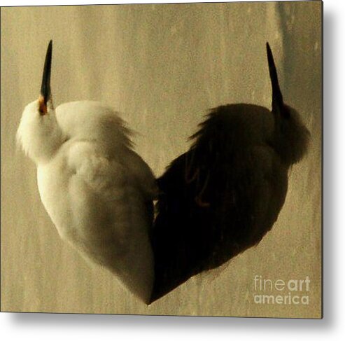 Hearts Metal Print featuring the photograph Light And Shadow by Daniele Smith