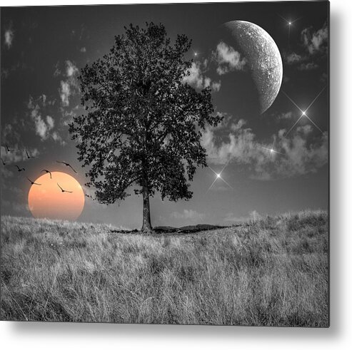 Night And Day Metal Print featuring the photograph Night and Day by Marianna Mills