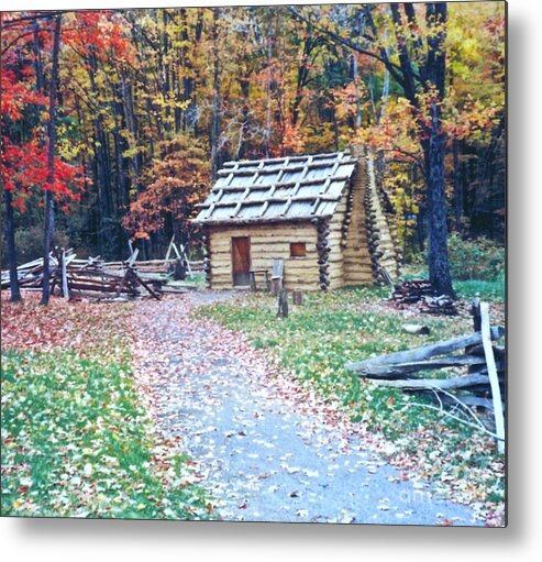 Log Cabin Metal Print featuring the photograph Settler by Penny Neimiller