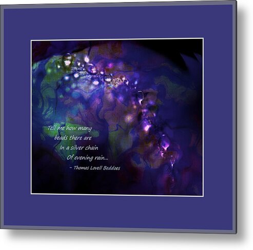 Rain Metal Print featuring the photograph Silver Chain of Evening Rain by Phyllis Meinke