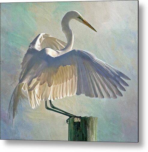 Ardea Alba Metal Print featuring the photograph Soft Landing by HH Photography of Florida
