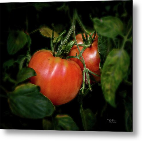 Sparkles Metal Print featuring the photograph Sparkle Tomatoe by Bill Posner