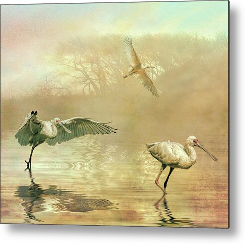 Spoonbills Metal Print featuring the photograph Spoonbill morning by Brian Tarr