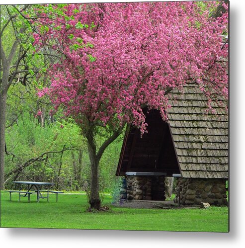 Park Metal Print featuring the photograph Springtime in the Park by Lori Frisch