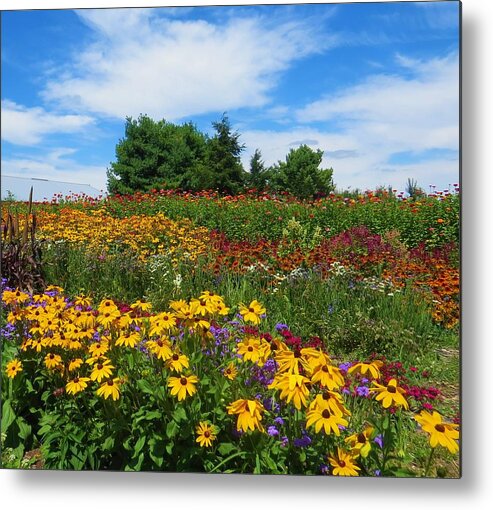 Flowers Metal Print featuring the photograph Summer Flowers in PA by Jeanette Oberholtzer