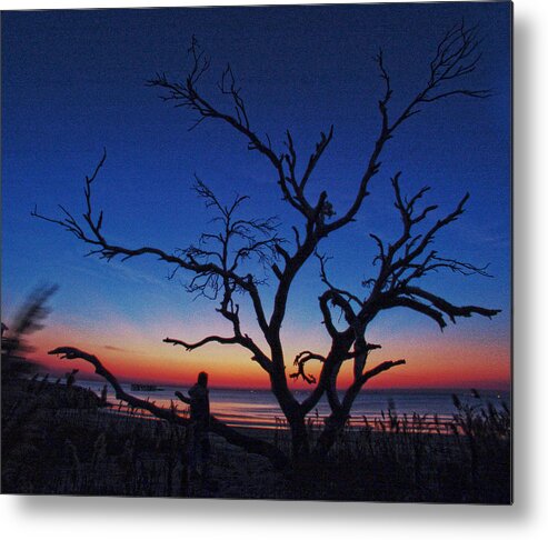 Tree Beach Night Sea Ocean Shore Sand Walk Alone Peace Metal Print featuring the photograph Sunrise Beach by Robert Och