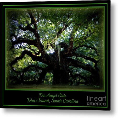 Angel Oak Metal Print featuring the photograph The Angel Oak by Leslie Revels