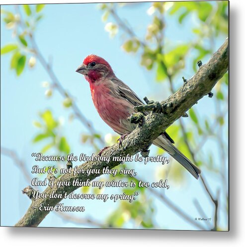 2d Metal Print featuring the mixed media The Birdsong - Spring Quote by Brian Wallace