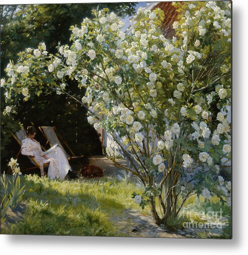 Peder Severin Kroeyer Metal Print featuring the painting The rose bush by O Vaering