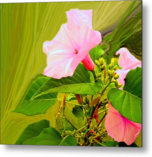 Flower Metal Print featuring the photograph Tropical Pink by Ian MacDonald