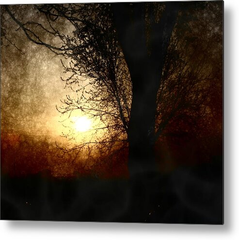 Landscape Metal Print featuring the photograph Walk Quietly Into the Night with Me. by Julie Lueders 