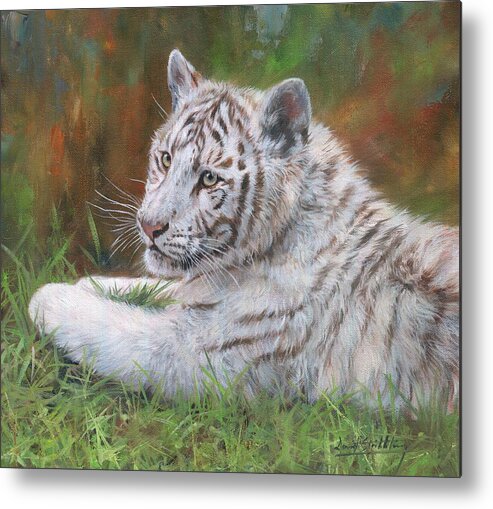 Tiger Metal Print featuring the painting White Tiger Cub 2 by David Stribbling