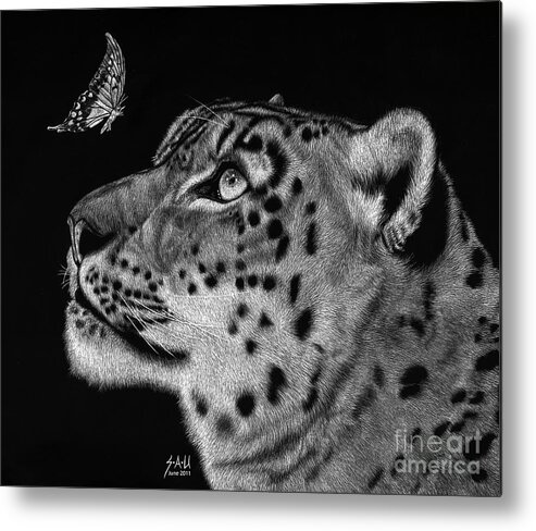 Snow Leopard Metal Print featuring the drawing Will You Be My Friend by Sheryl Unwin