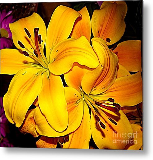 Yellow Orange Asiatic Lilies Expressionist Effect Metal Print featuring the photograph Yellow Orange Asiatic Lilies Expressionist Effect by Rose Santuci-Sofranko