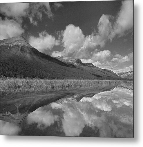 Disk1215 Metal Print featuring the photograph Winston Churchill Range Alberta #1 by Tim Fitzharris