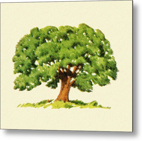 Campy Metal Print featuring the drawing Large Tree #5 by CSA Images