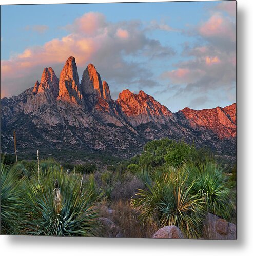 00557650 Metal Print featuring the photograph Organ Moutains, Aguirre Spring by Tim Fitzharris