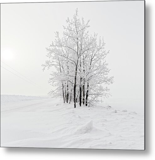 Snow Metal Print featuring the photograph Alone on the Prairie by Dan Jurak
