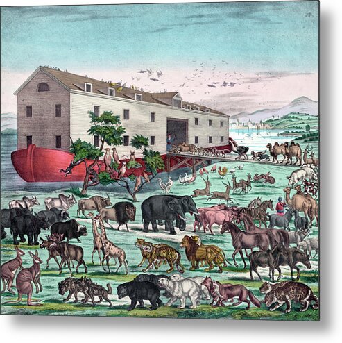 Environmental Conservation Metal Print featuring the photograph Animals Entering Noahs Ark by Graphicaartis